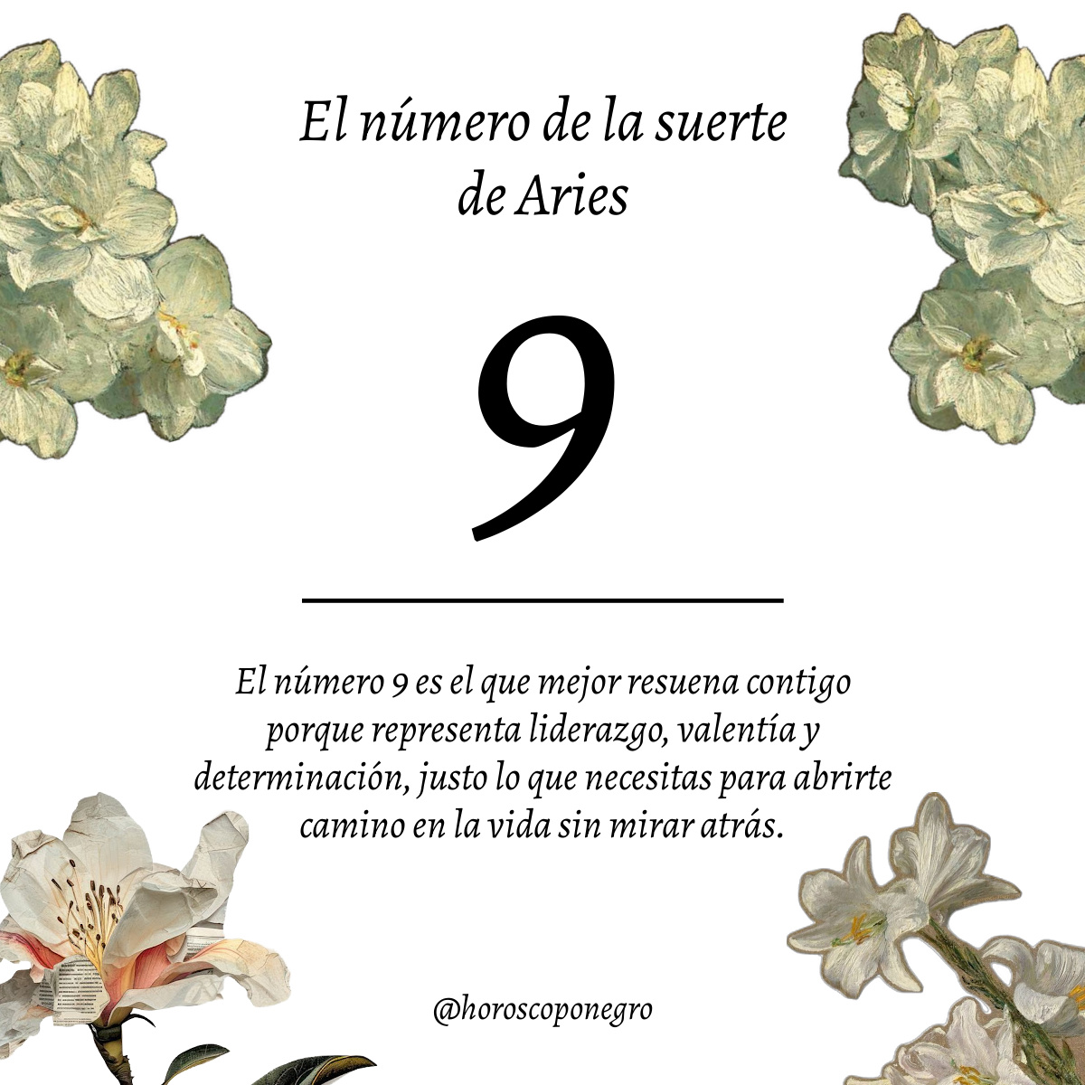 ▲ARIES▲ tweet media