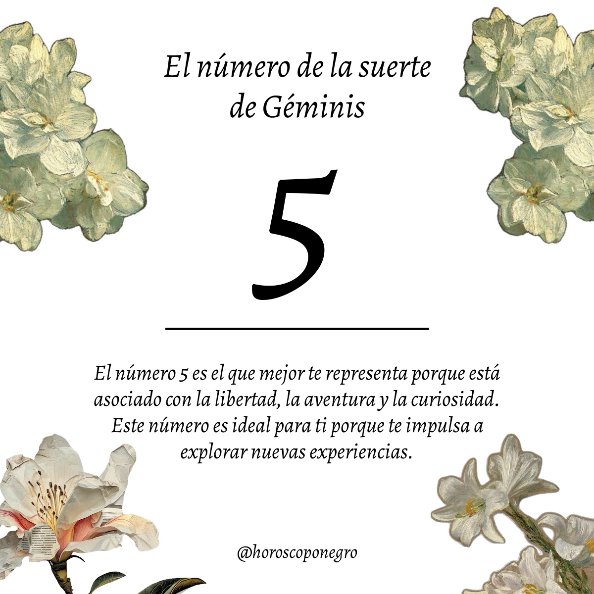 geminis_hn's tweet photo. ¿Es el número que pensabas? ✨🔮 

Descubre más sobre tu número de la suerte en el link que hay en los comentarios... https://t.co/ApKN1pTRD5