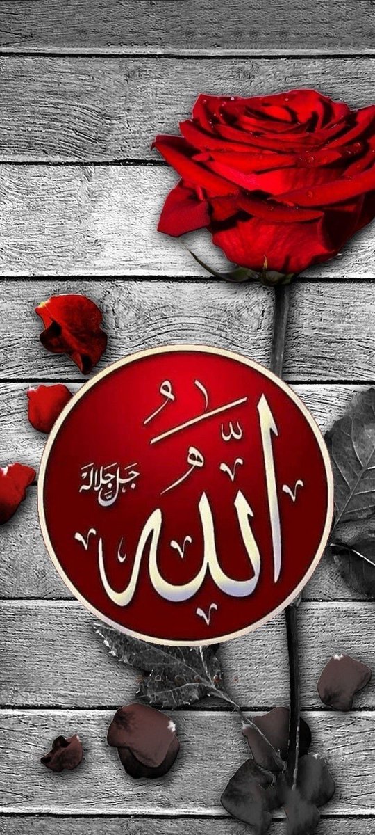 De ki: "Rabbim! Bağışla, merhamet et. Çünkü sen merhamet edenlerin en hayırlısısın!"

Mü'minûn Sûresi 118. Ayet