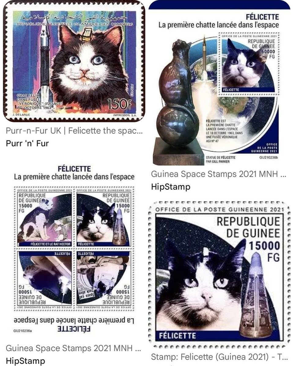 An Actual Fedora tweet media