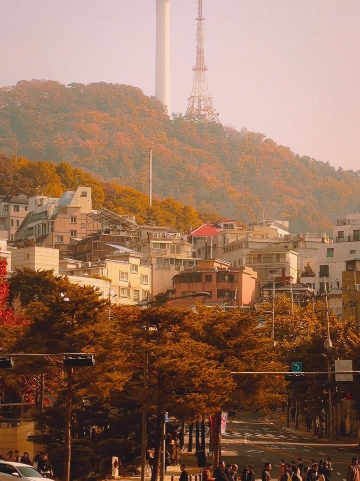 Daniel Dildine tweet media