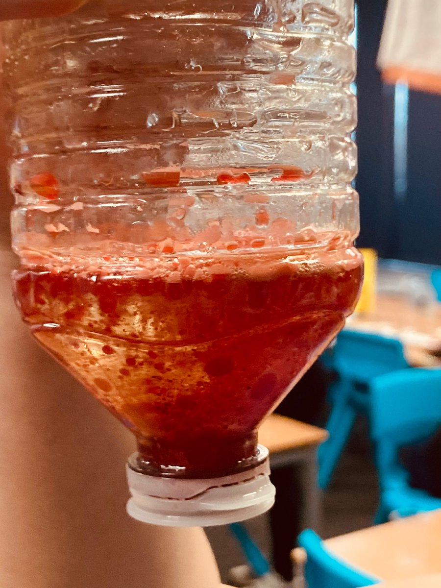 Longhill Primary tweet media