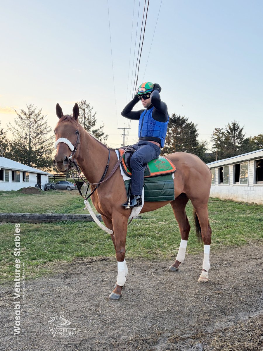 WV Stables tweet media