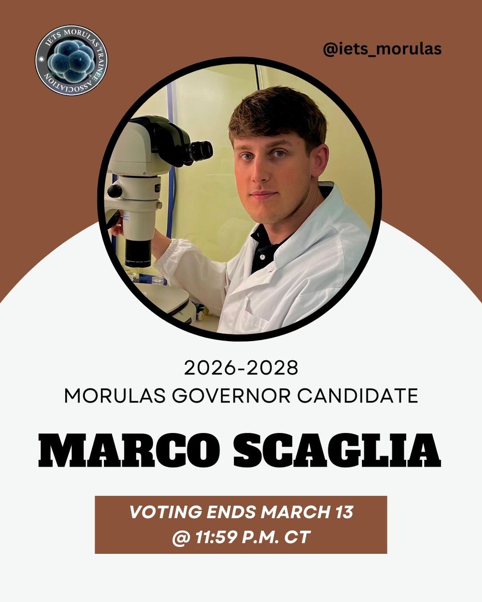 IETS Morulas tweet media