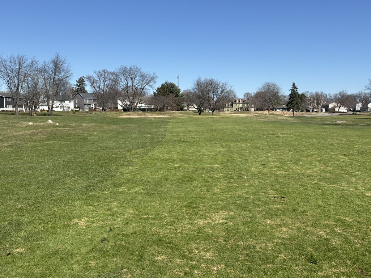 Tyler Reidy tweet media