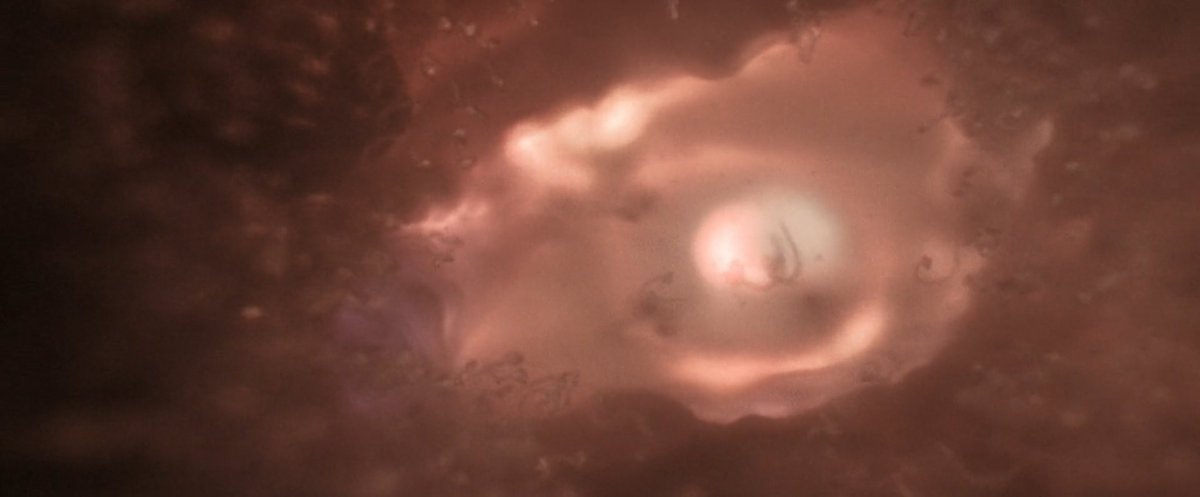 rangga🗡 tweet media