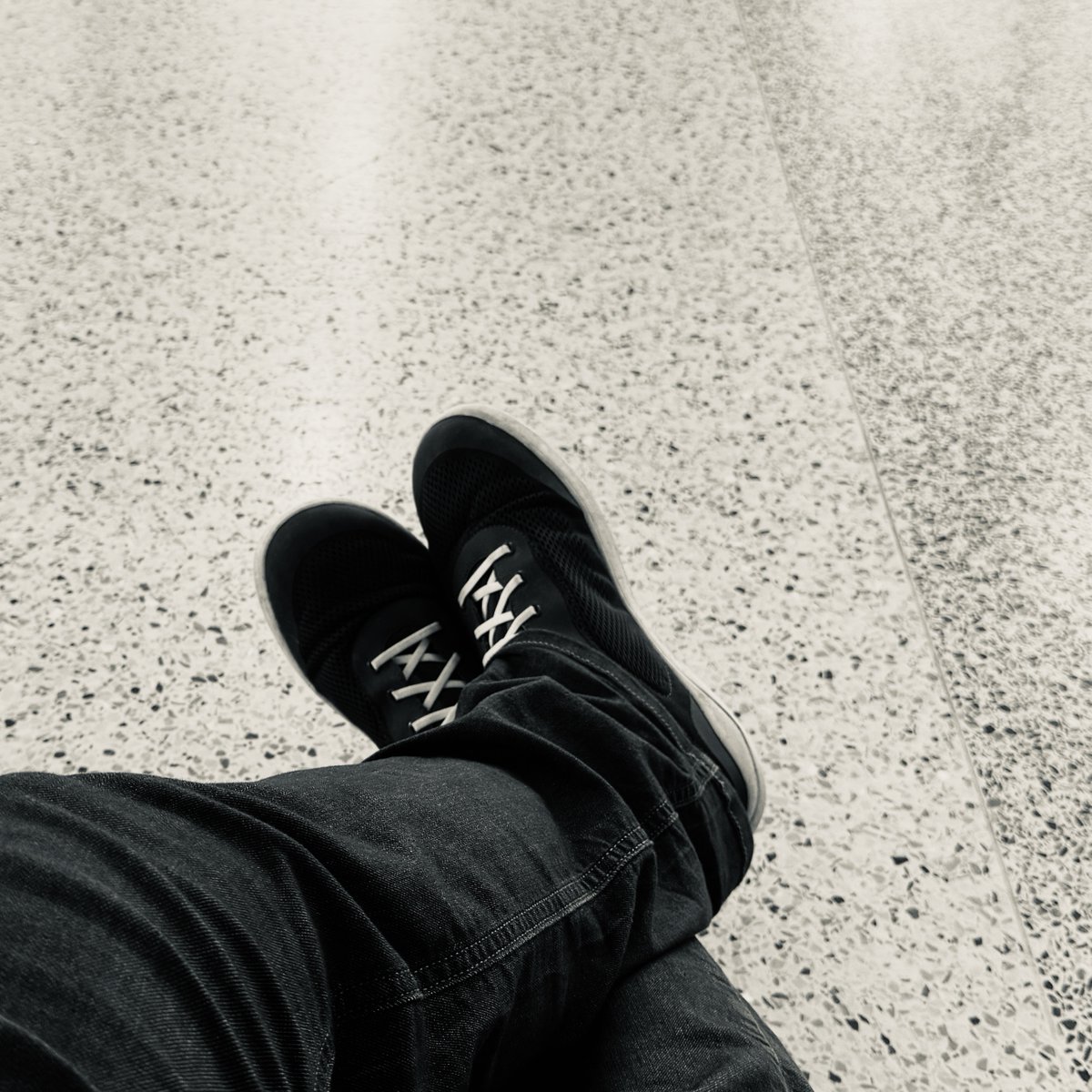 Fred Rewey tweet media