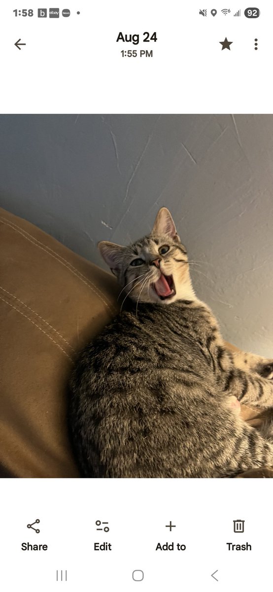 Professor Minerva McGonagall tweet media