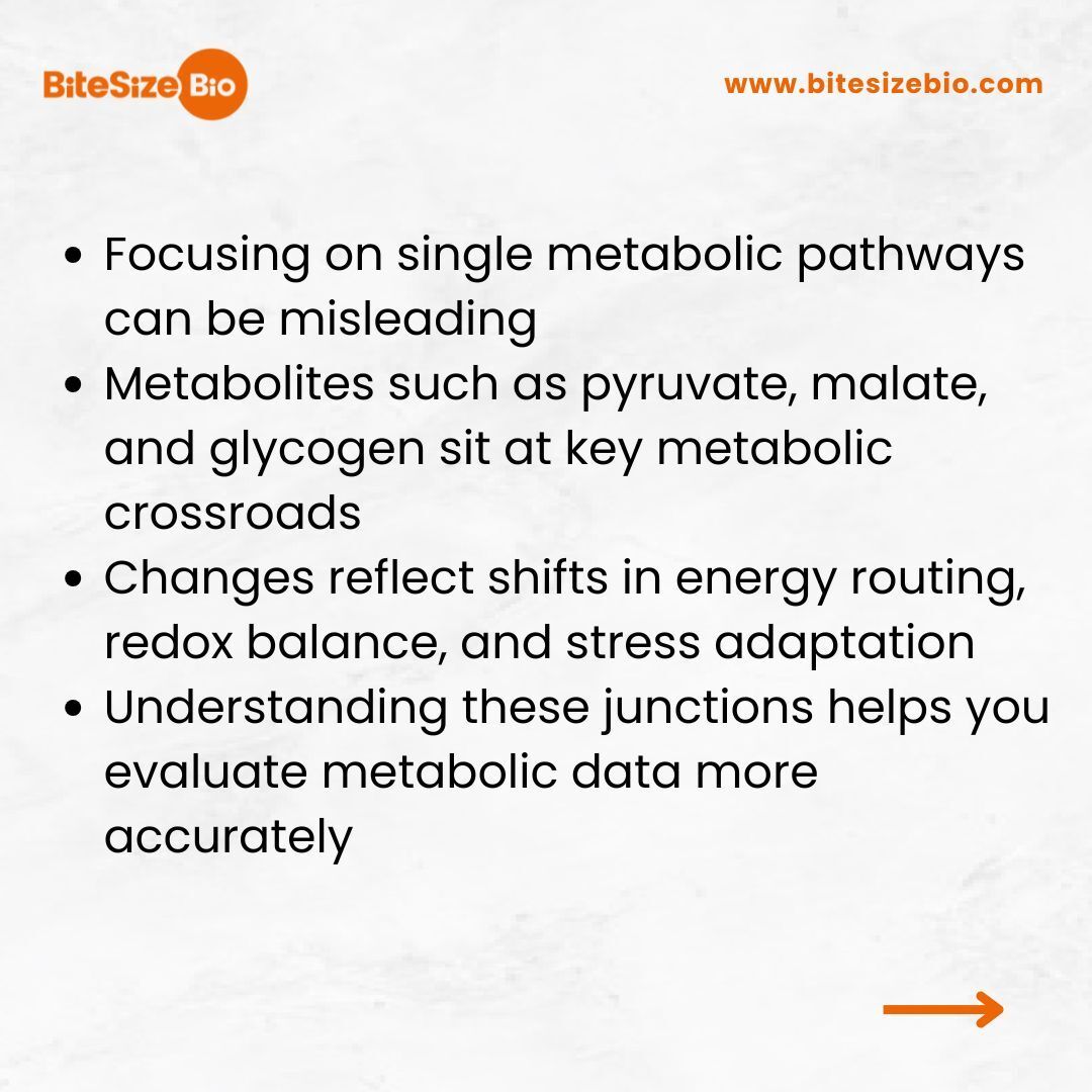 Bitesize Bio tweet media