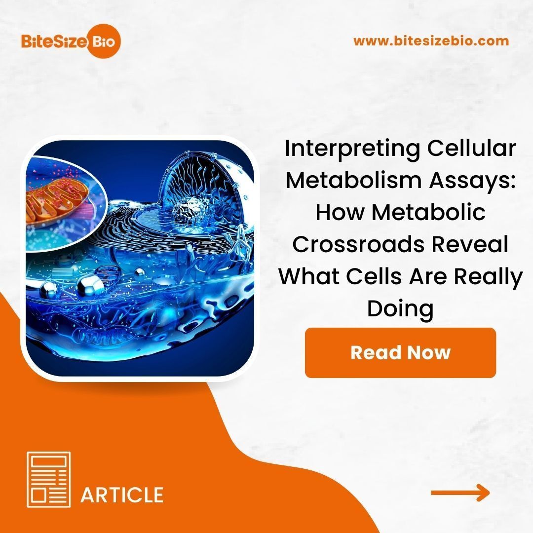 Bitesize Bio tweet media