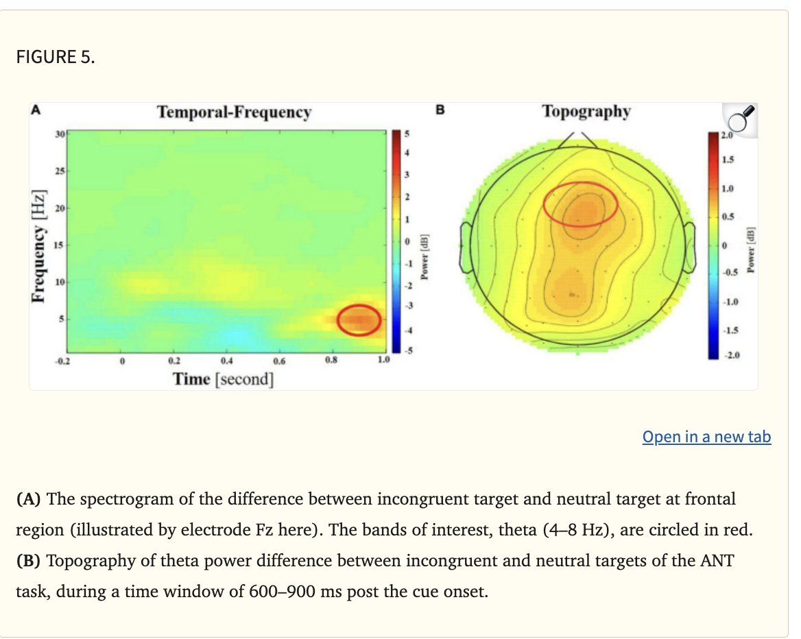 Carnivore Aurelius ©🥩 ☀️🦙 tweet media