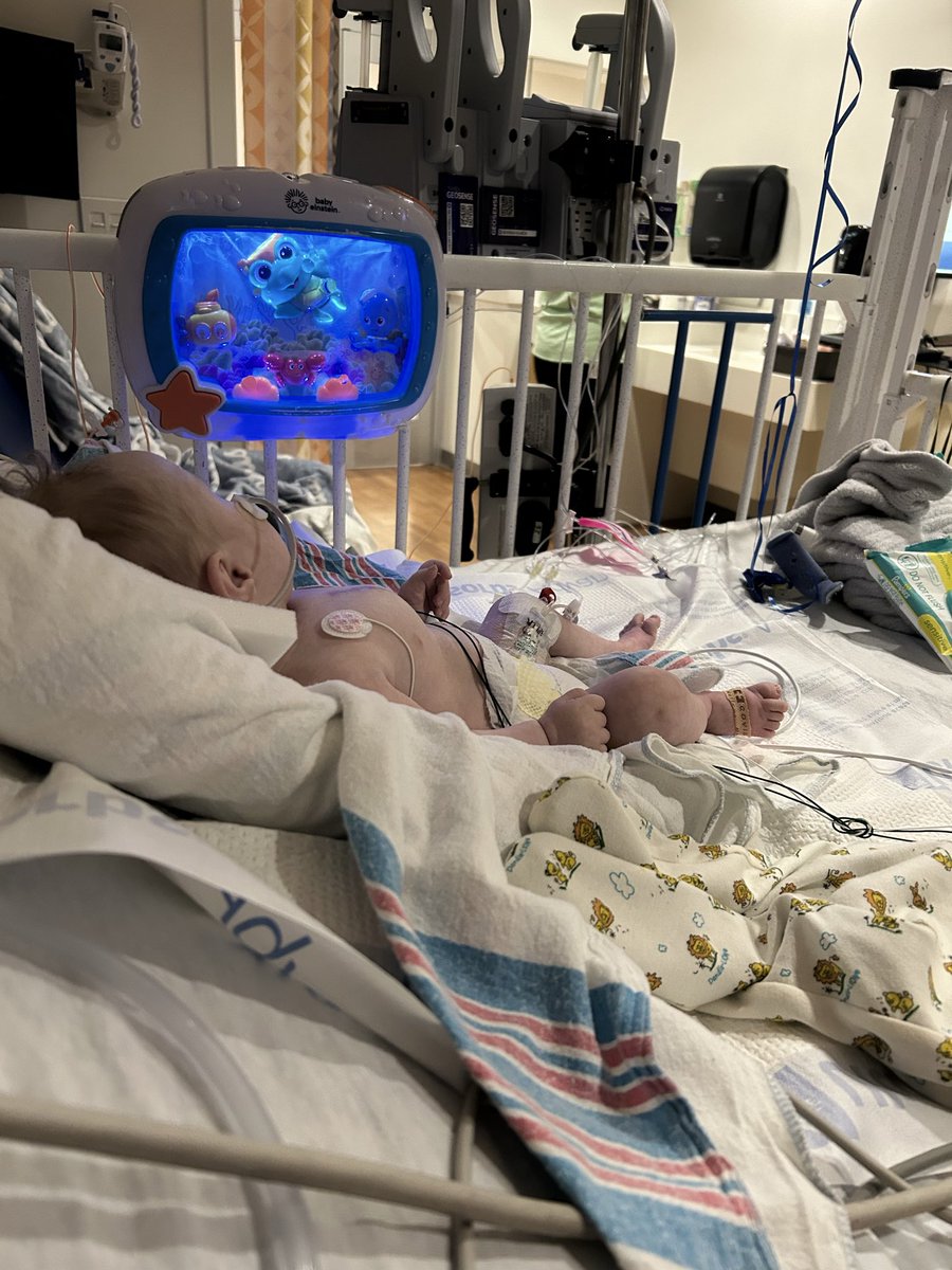 Bridget S 🐝 tweet media