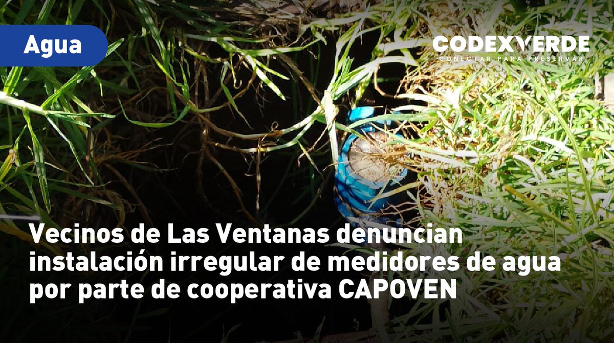 Codexverde tweet media