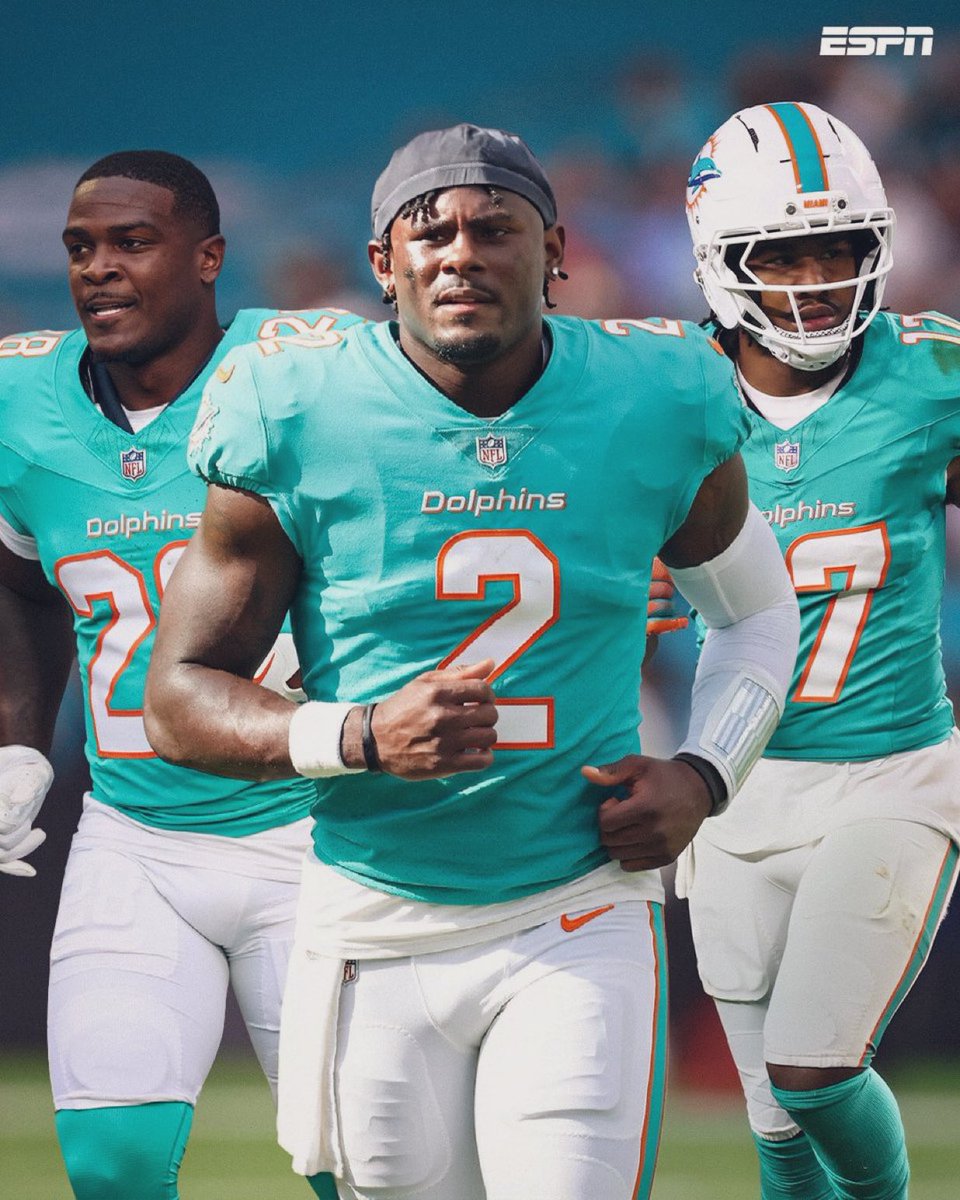 Dolphins Muse tweet media