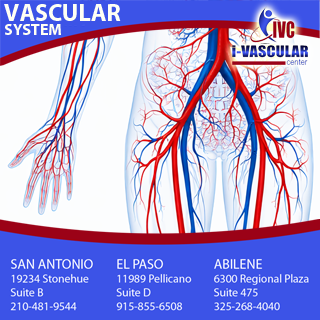 ivascularAB's tweet photo. The VASCULAR SYSTEM, also known as the circulatory system, transports blood, nutrients, oxygen, and waste products throughout the body in support of your overall health. Blockages &amp; faulty valves reduce blood flow &amp; contribute to many health issues. More: https://t.co/btxiwXdf6Z https://t.co/g4L3rbTCwE
