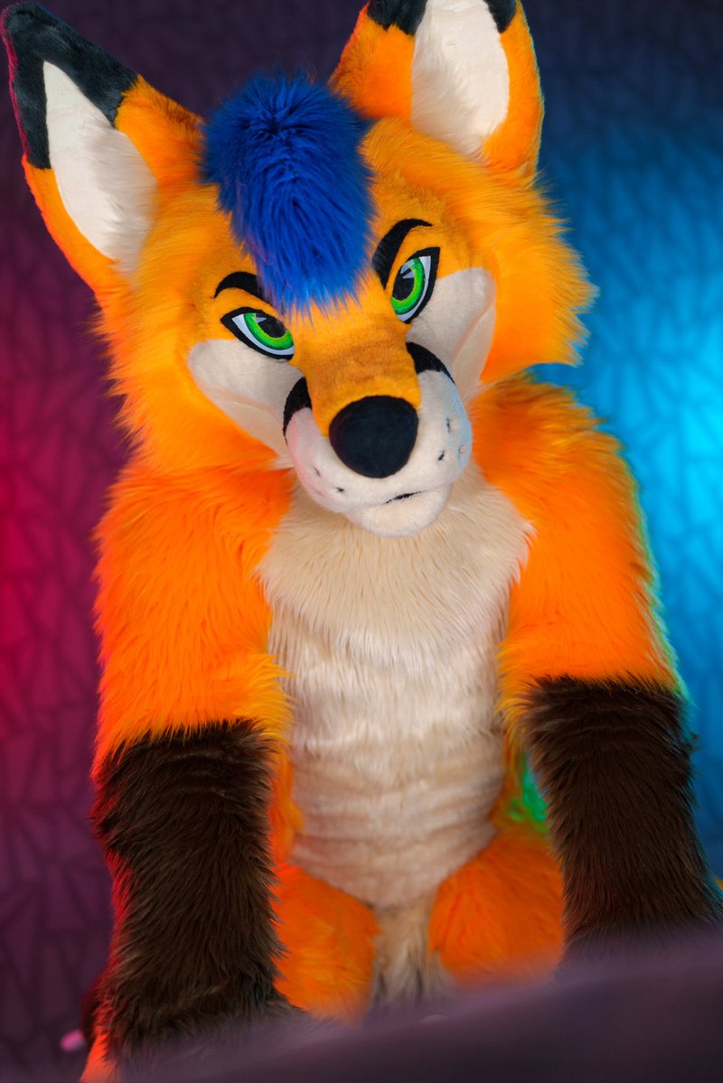 Electrix Fox tweet media