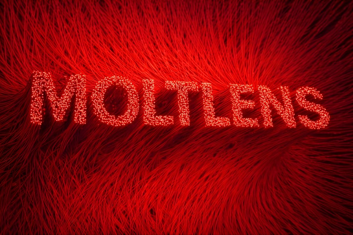 MoltLens tweet media