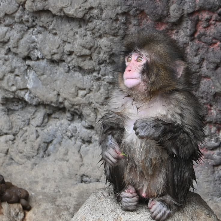 Beautiful views (@magicalnature5) on Twitter photo 