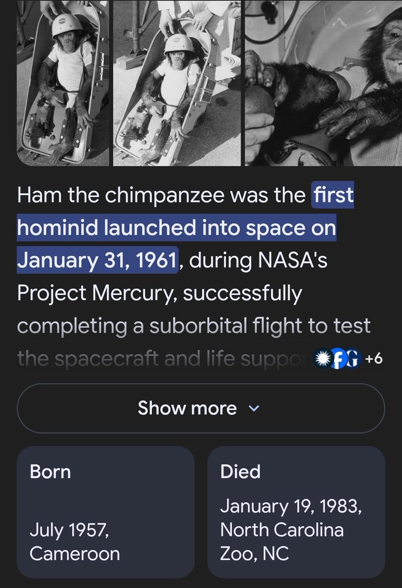 Anna Mae tweet media