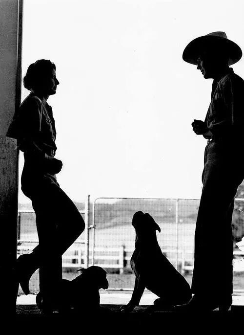 stanwyckarchive's tweet photo. Barbara with her dogs and husband Robert Taylor at home, c. early 1940s https://t.co/kuXazVQh0d