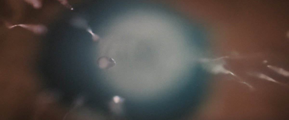 rangga🗡 tweet media