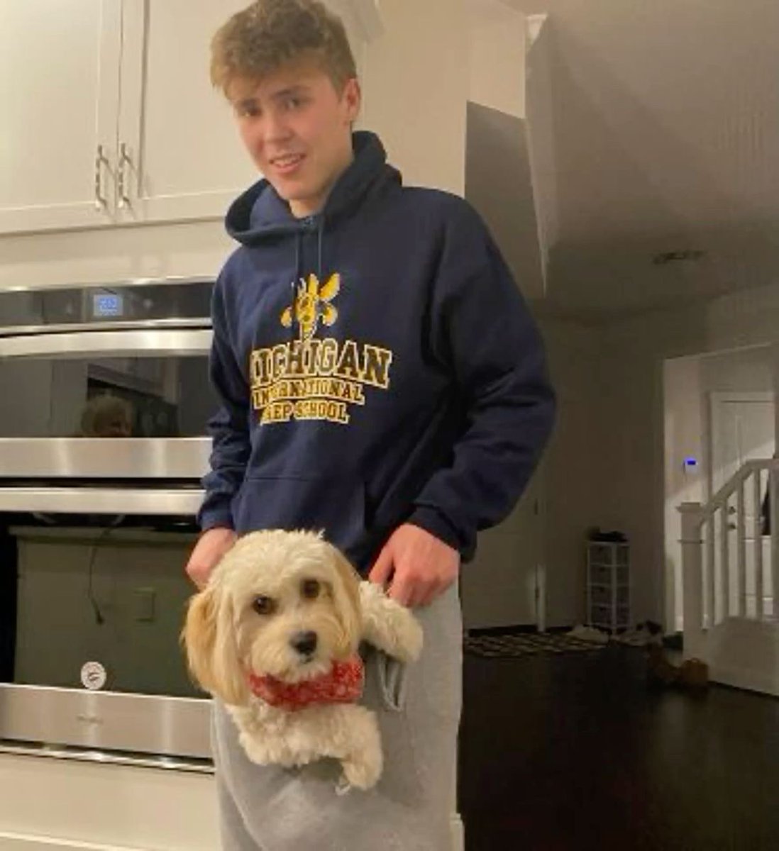 daily smith tweet media