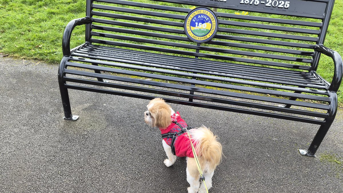 Bella🇬🇧 tweet media