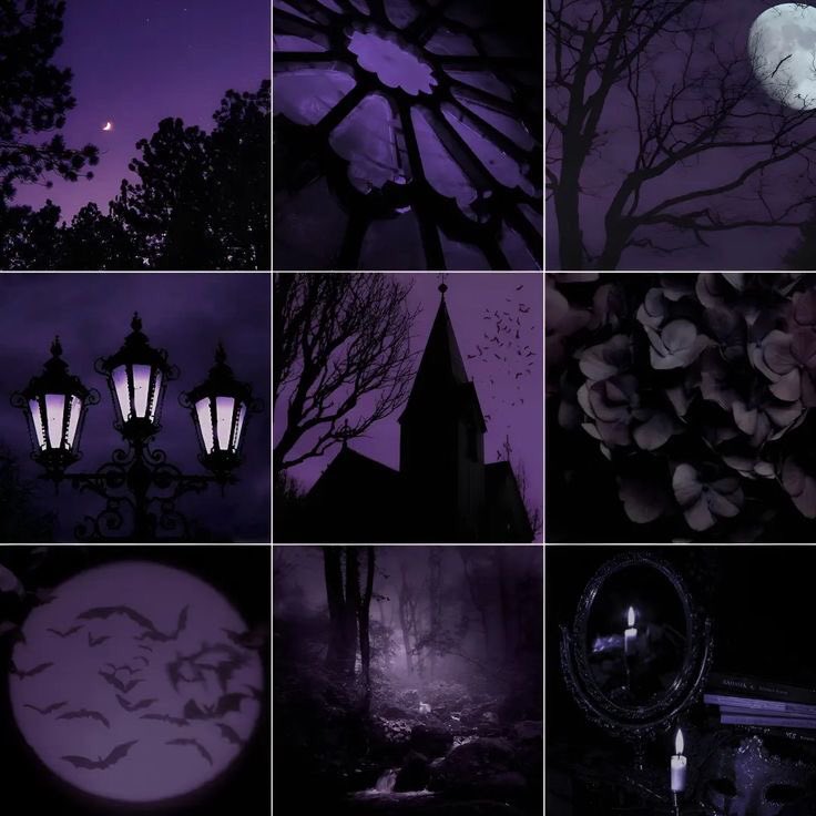 violettweets_'s tweet photo. midnight purple. https://t.co/mW51tNzV6r