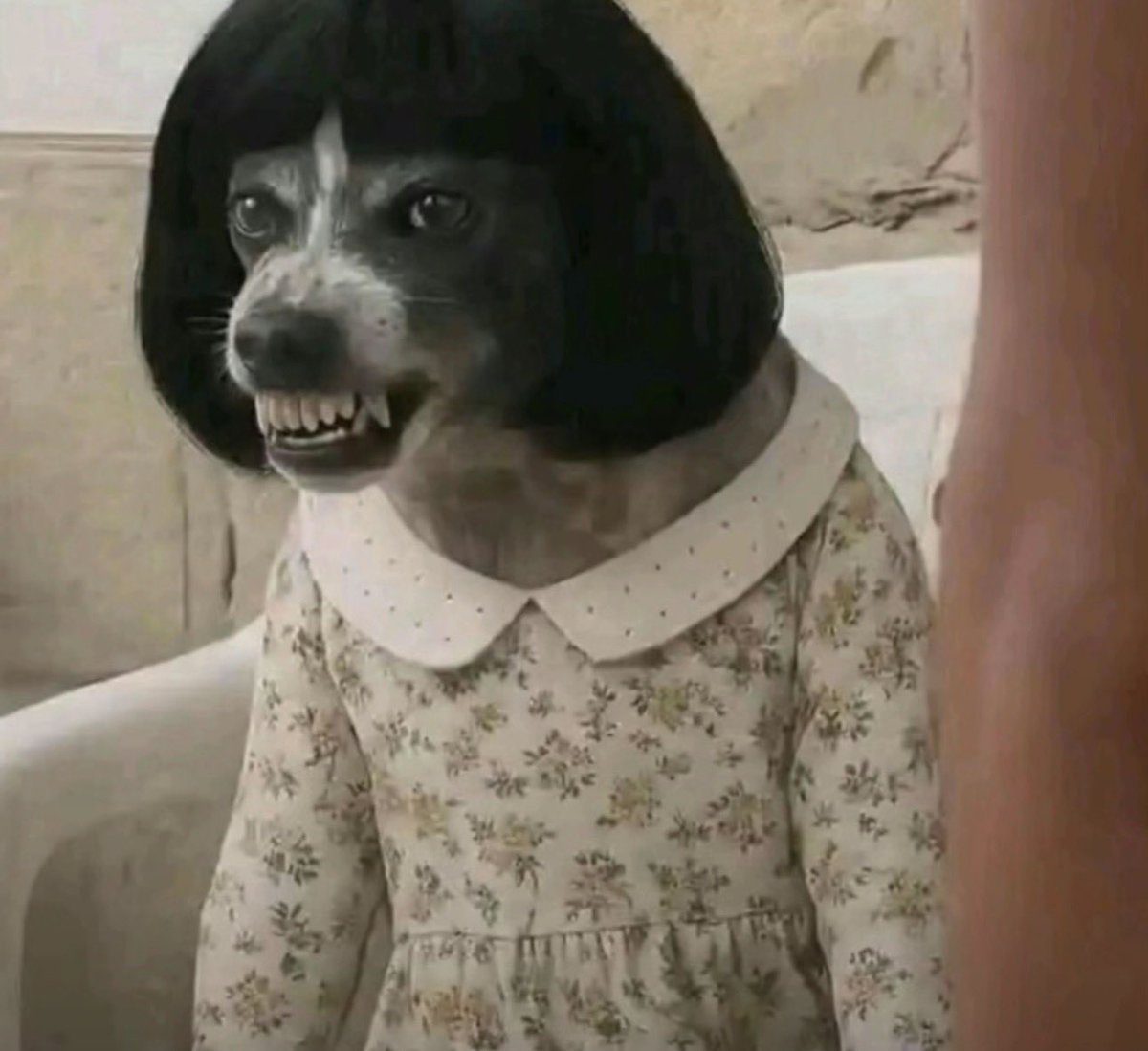 ๐๐๐๐๐๐ tweet media