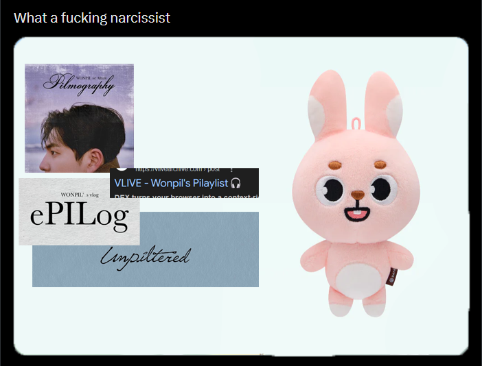 ᴾᴵᴸᴮᵁᴳ 🍀🐇 (@wonpilbug_) on Twitter photo 