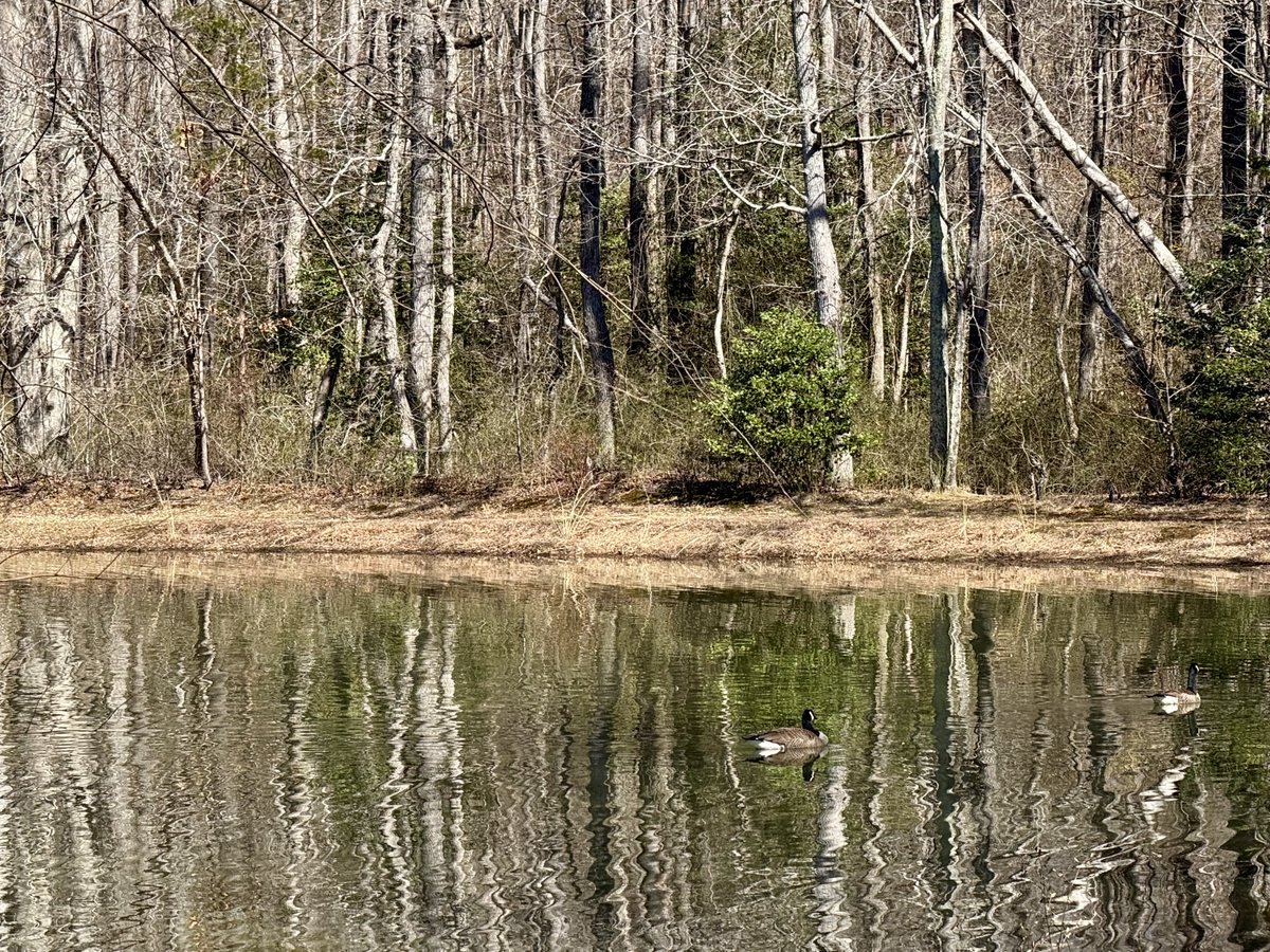 Mitzi Guice tweet media