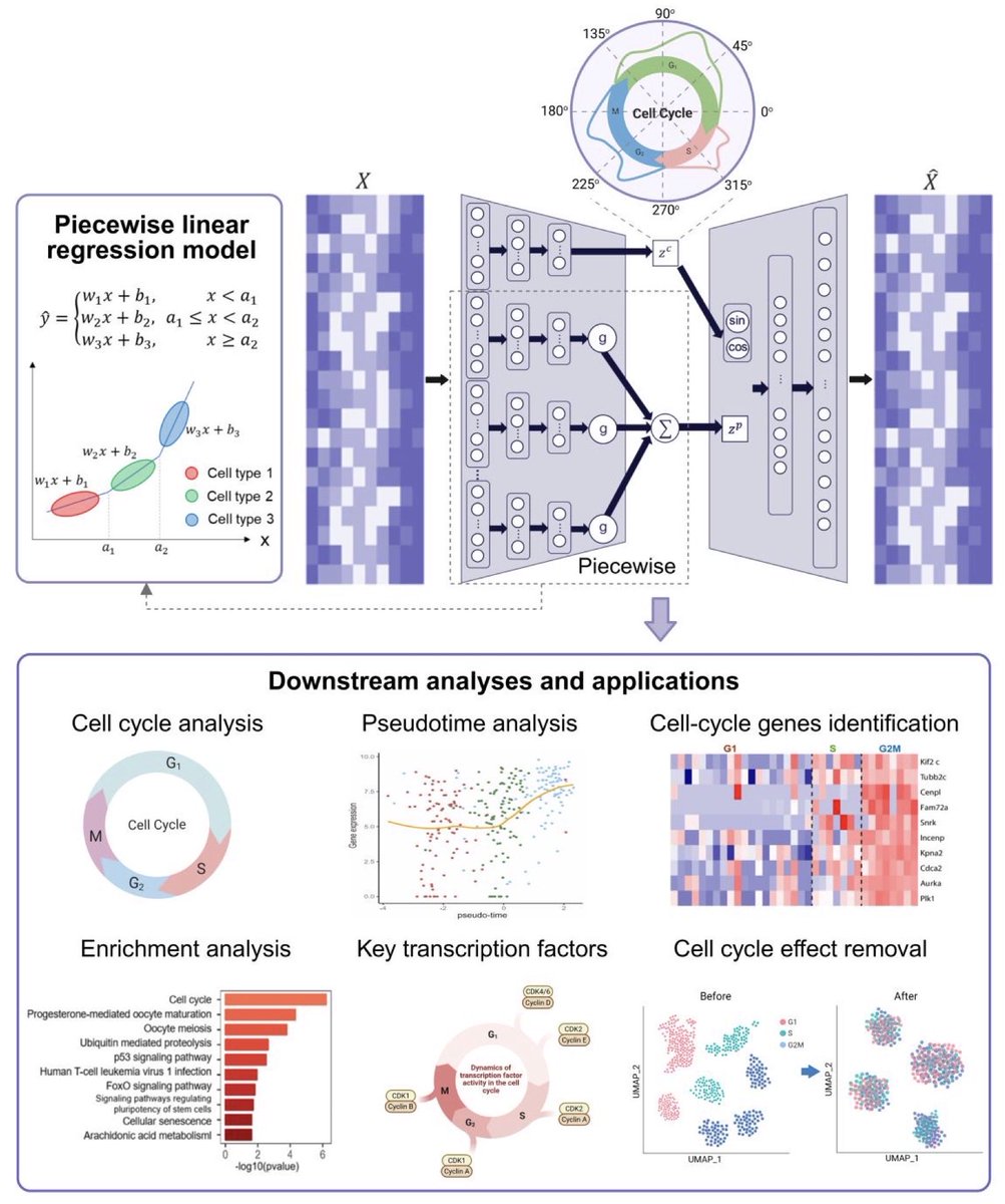 antisense. tweet media
