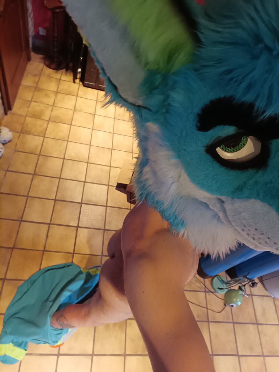 TechRoo - That australian bouncy boy tweet media