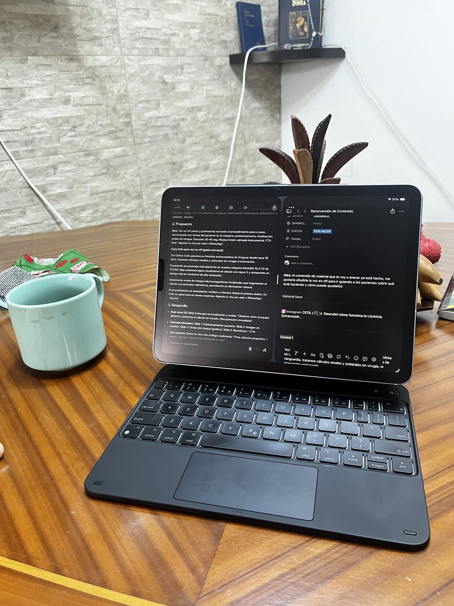 ZamboCampeon 🐍 tweet media