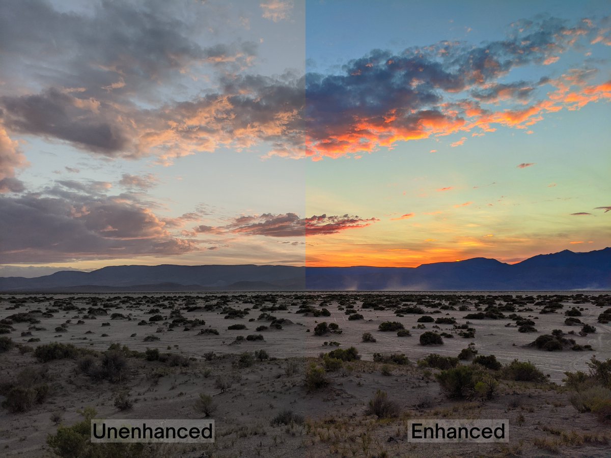 Taylor Sterling tweet media