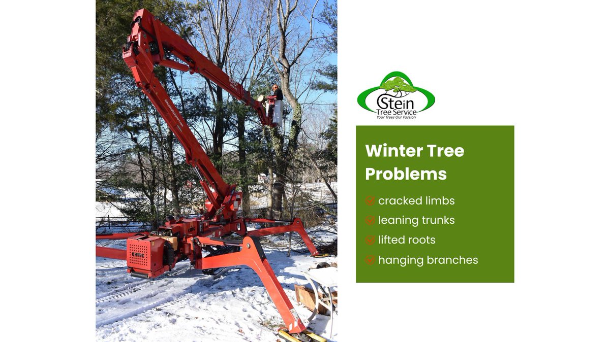Stein Tree Service tweet media