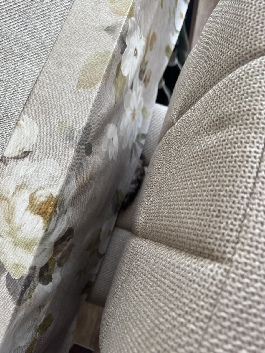 Dimitri “Raeven” Grochikov tweet media