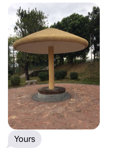 Jasper Whalen tweet media