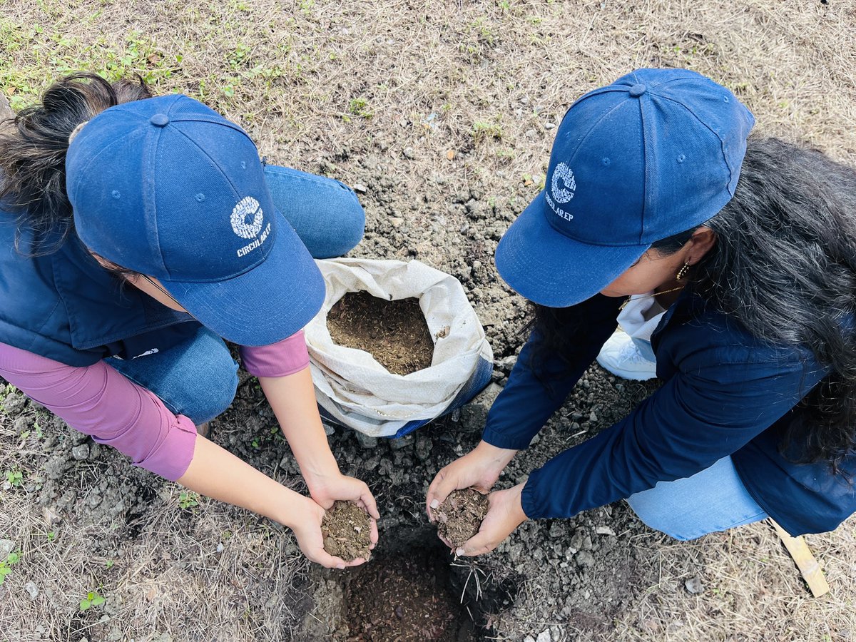 Circular EP tweet media