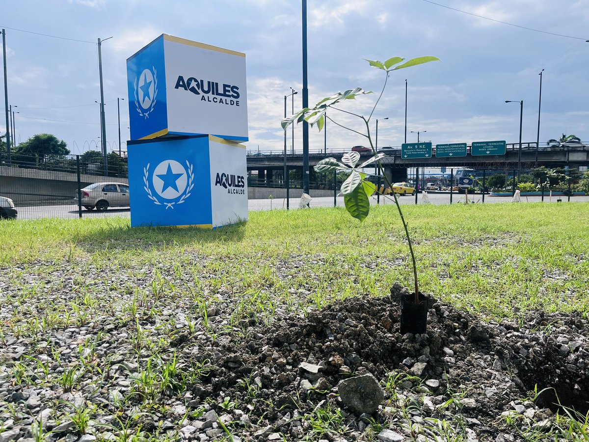 Circular EP tweet media