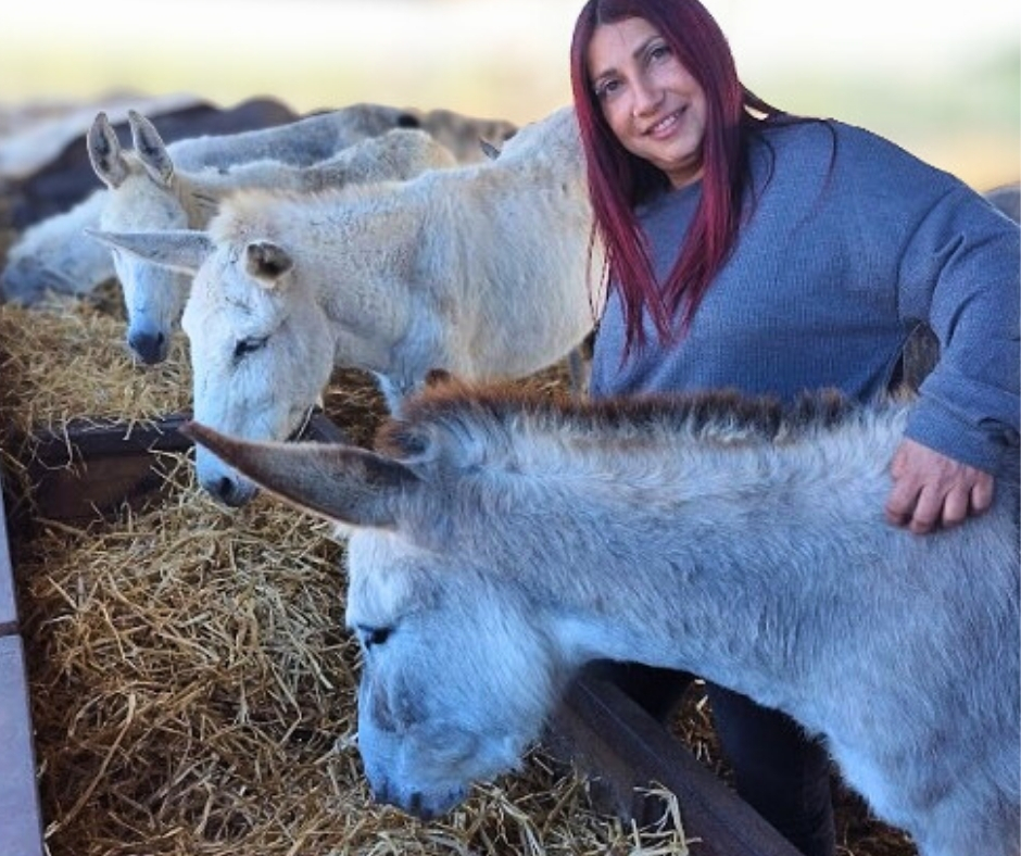 Network For Animals 🐾 tweet media