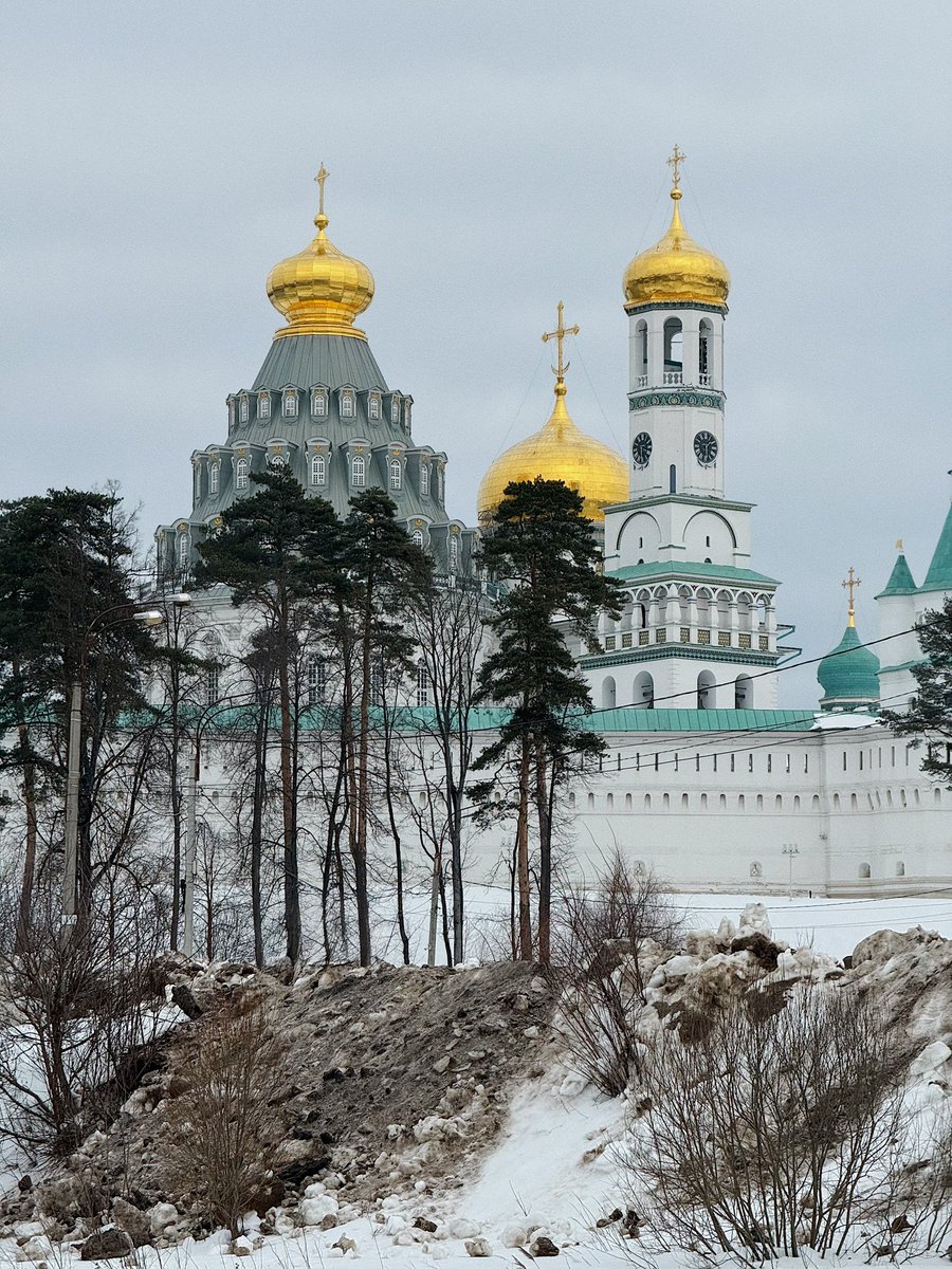 фуфендер tweet media