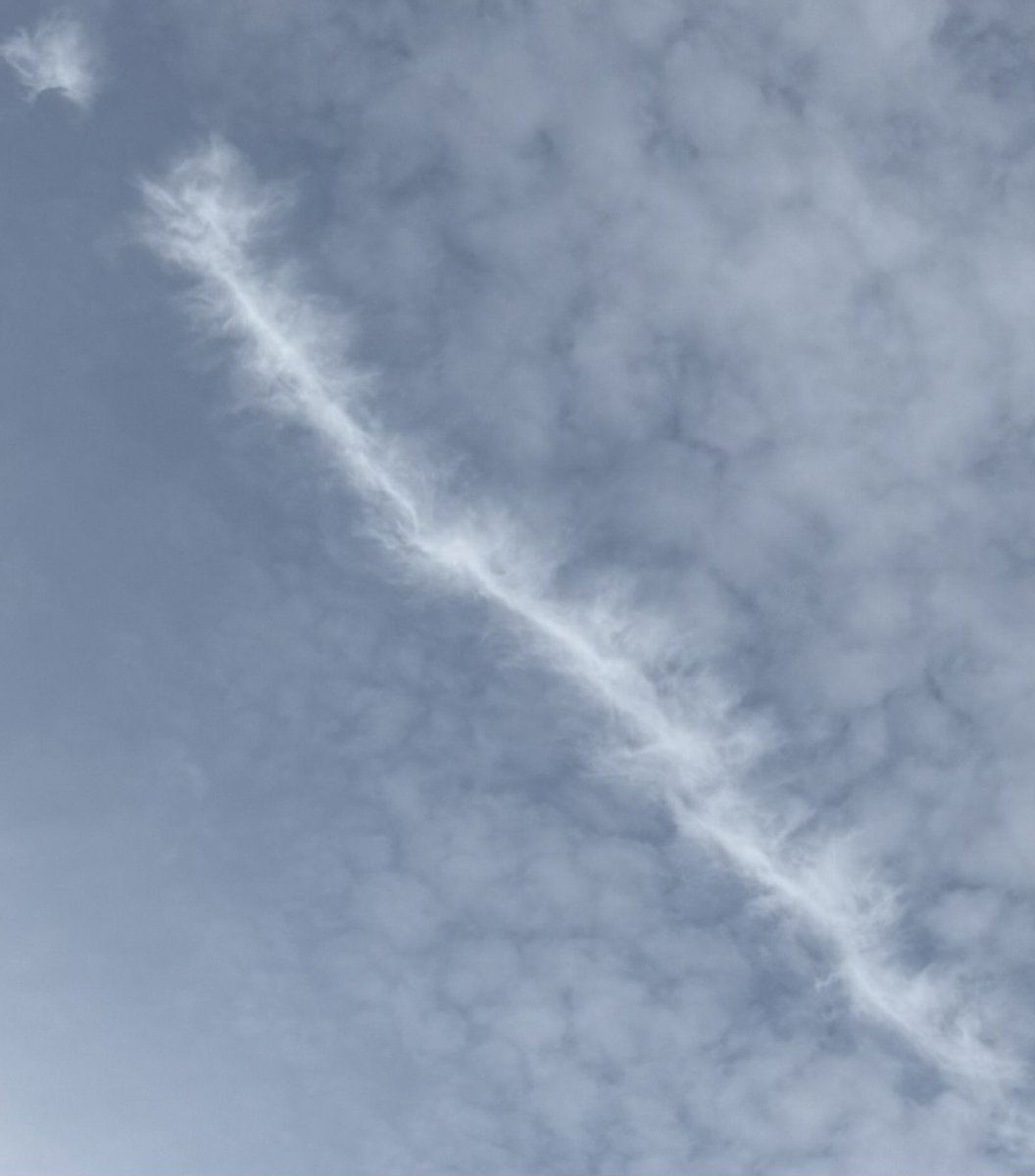 Buck Strickland 🇺🇸✝️ tweet media