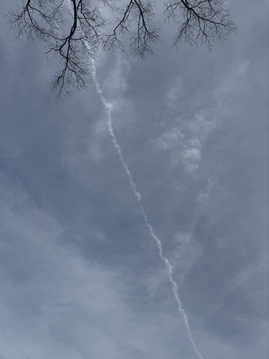 Buck Strickland 🇺🇸✝️ tweet media