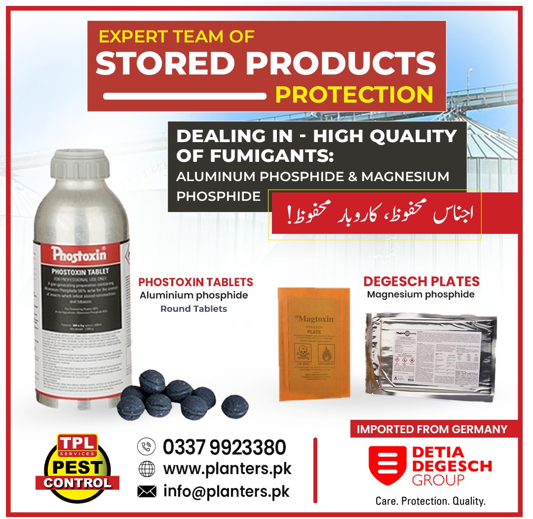 Protect your stored grains with high-quality fumigants and expert stored products protection services.
✔ Premium Aluminum &amp; Magnesium Phosphide fumigants
✔ Expert team for stored product protection
✔ Safe, reliable &amp; effective pest control solutions
#StoredProducts #Fumigation