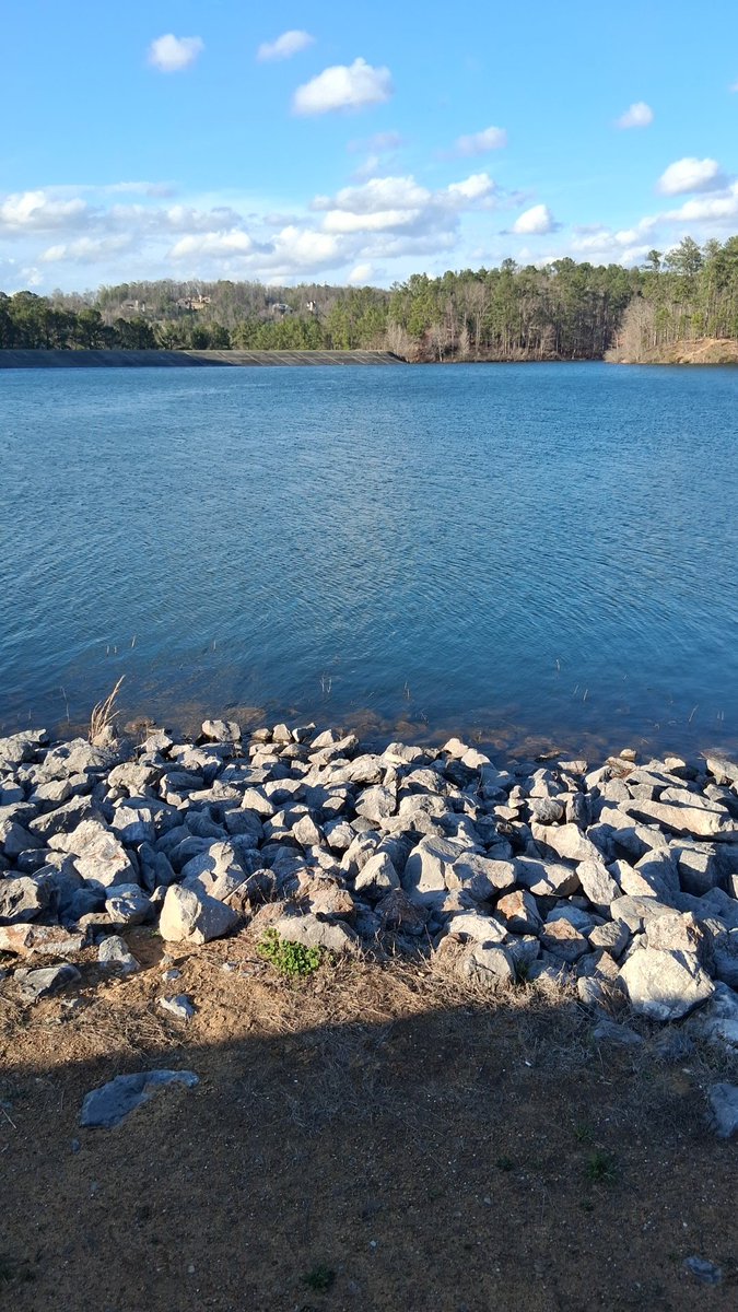 New Growth Entertainment (T-Lo) tweet media