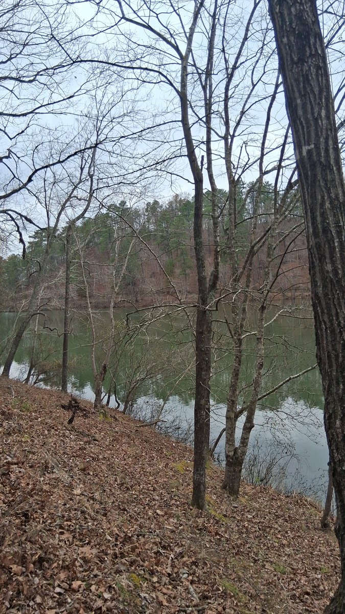 New Growth Entertainment (T-Lo) tweet media