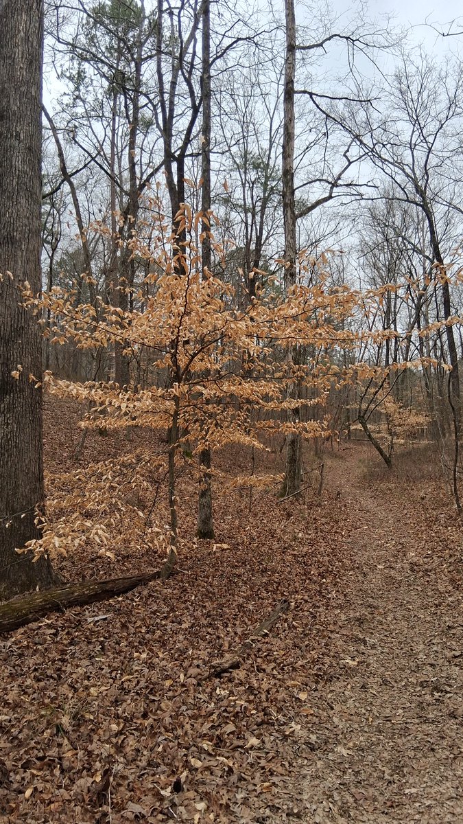 New Growth Entertainment (T-Lo) tweet media