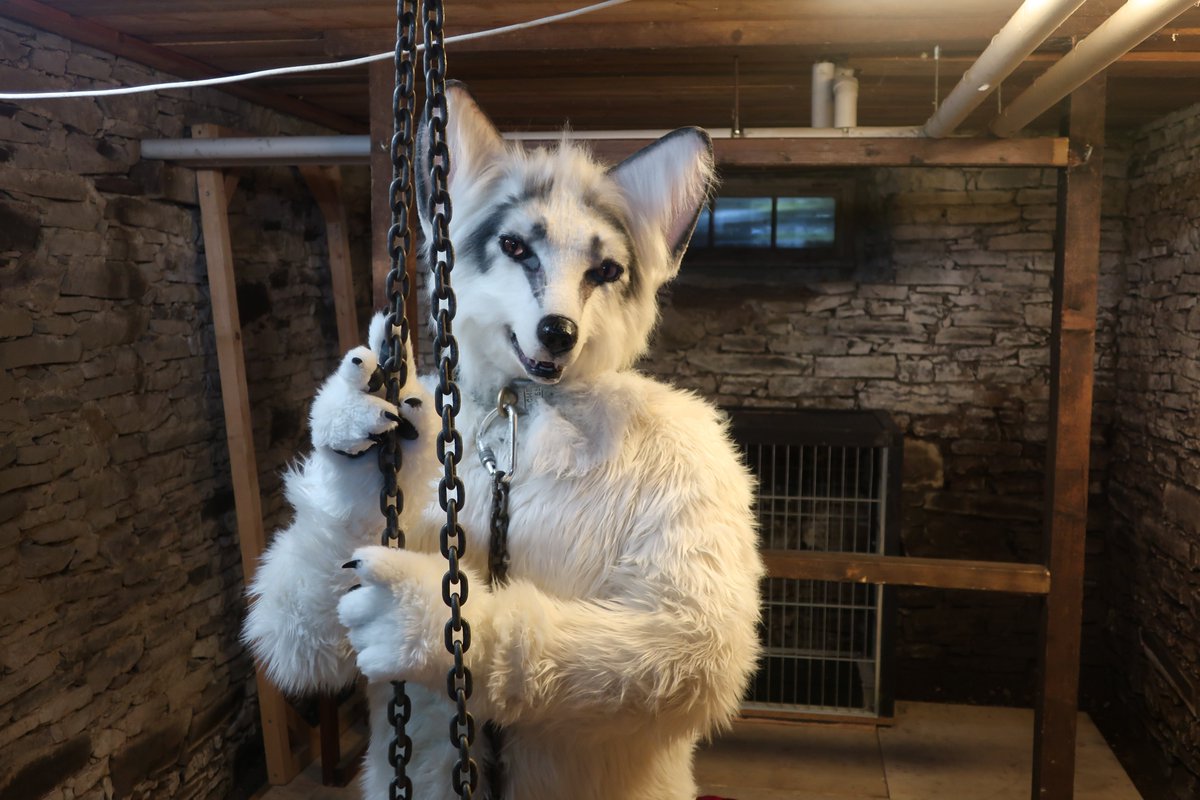 NaughtyBerk 🇩🇪🇳🇱 🔜 GDAKON 🇵🇱 tweet media