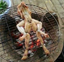 RonSHOTs📸 tweet media